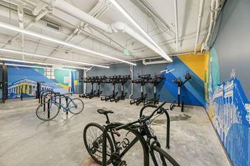 Peloton bikes
